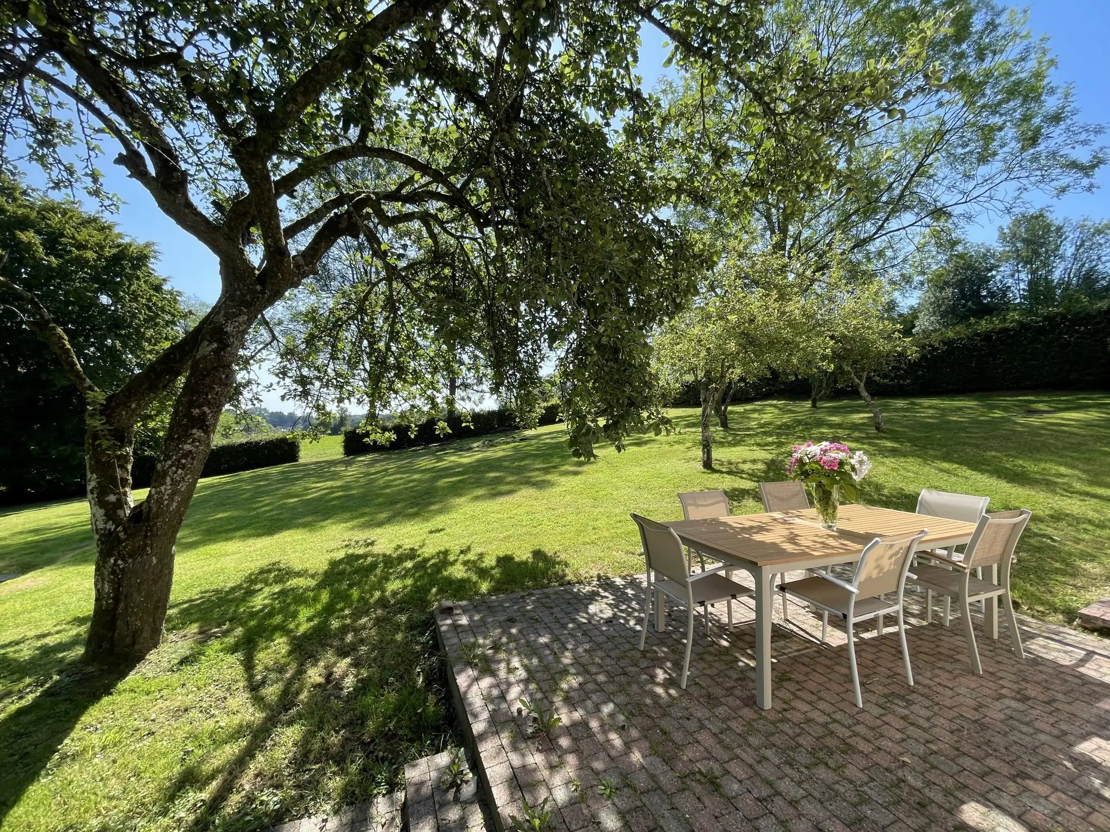 La table dressée sous le pommier, dans le jardin de Reinette Grise